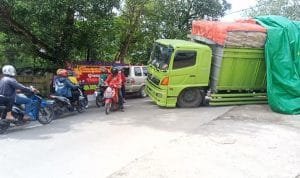 WhatsApp Image 2023-03-01 at 02.42.16 WhatsApp Image 2023 03 01 at 02.42.16