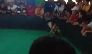 WhatsApp Image 2023-03-06 at 13.19.47 WhatsApp Image 2023 03 06 at 13.19.47