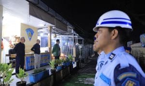 WhatsApp Image 2023 03 09 at 19.49.00