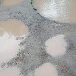 WhatsApp Image 2023 03 13 at 00.16.45