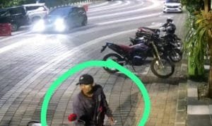 Whatsapp image 2023 03 25 at 23.10.06