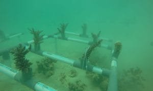 WhatsApp Image 2023 03 27 at 20.25.48