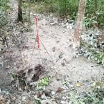 WhatsApp Image 2023-04-28 at 18.30.09 WhatsApp Image 2023 04 28 at 18.30.09