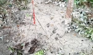 WhatsApp Image 2023 04 28 at 18.30.09