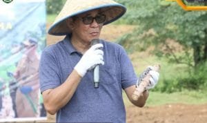 WhatsApp Image 2023 05 12 at 01.55.51(1)