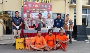 WhatsApp Image 2023-06-13 at 01.00.52 WhatsApp Image 2023 06 13 at 01.00.52