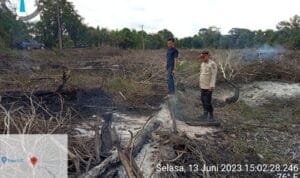 WhatsApp Image 2023-06-13 at 06.31.04 WhatsApp Image 2023 06 13 at 06.31.04