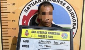 WhatsApp Image 2023 06 20 at 02.22.39