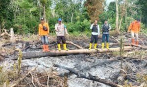 WhatsApp Image 2023-06-26 at 17.14.10 WhatsApp Image 2023 06 26 at 17.14.10