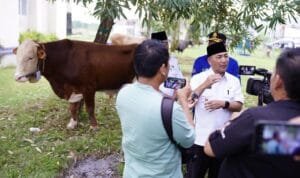 WhatsApp Image 2023-06-27 at 18.53.02 WhatsApp Image 2023 06 27 at 18.53.02