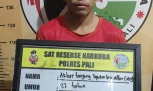 WhatsApp Image 2023 06 28 at 00.03.52