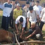 WhatsApp Image 2023 06 29 at 01.22.29