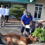 WhatsApp Image 2023 06 29 at 19.26.46