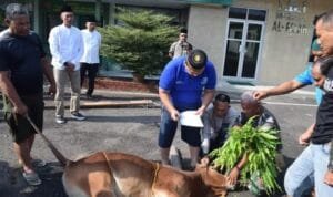 WhatsApp Image 2023 06 29 at 19.26.46