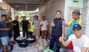 WhatsApp Image 2023 07 01 at 03.07.04