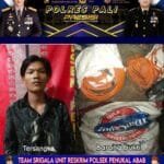 WhatsApp Image 2023-07-02 at 22.41.11 WhatsApp Image 2023 07 02 at 22.41.11