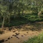 WhatsApp Image 2023-07-08 at 22.06.04 WhatsApp Image 2023 07 08 at 22.06.04