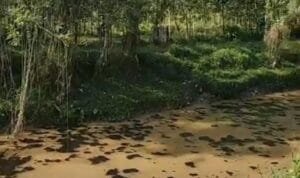 WhatsApp Image 2023 07 08 at 22.06.04