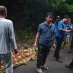 WhatsApp Image 2023-07-11 at 17.05.04 WhatsApp Image 2023 07 11 at 17.05.04