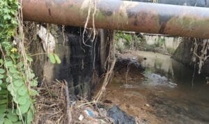 WhatsApp Image 2023-07-12 at 00.28.06 WhatsApp Image 2023 07 12 at 00.28.06