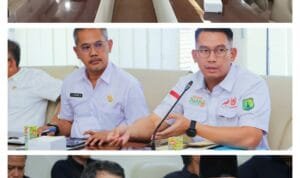 WhatsApp Image 2023 07 12 at 19.13.29