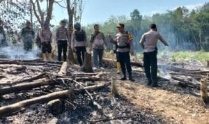 WhatsApp Image 2023 07 14 at 06.44.21