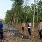 WhatsApp Image 2023 07 17 at 05.00.10