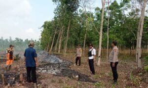 WhatsApp Image 2023 07 17 at 05.00.10