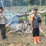 WhatsApp Image 2023 07 20 at 06.24.00(1)