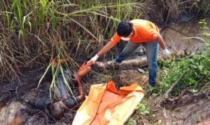 WhatsApp Image 2023 07 30 at 04.04.13