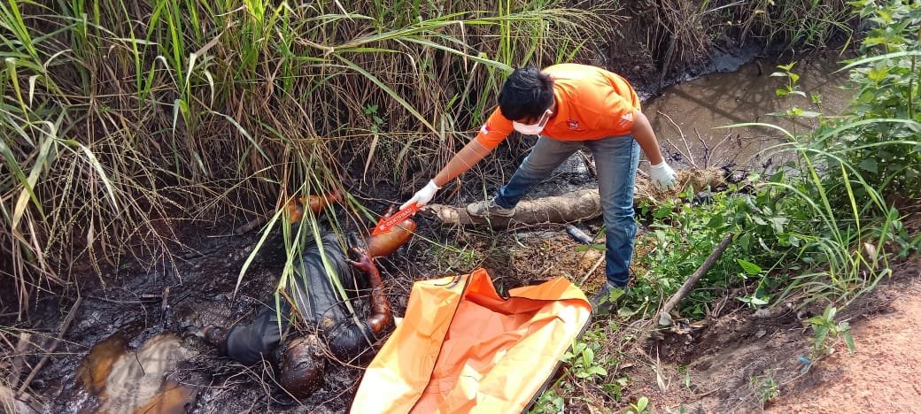 WhatsApp Image 2023-07-30 at 04.04.13 WhatsApp Image 2023 07 30 at 04.04.13