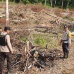 WhatsApp Image 2023 07 31 at 05.18.20(1)