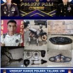 WhatsApp Image 2023-08-01 at 16.56.13 WhatsApp Image 2023 08 01 at 16.56.13