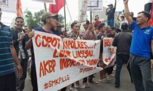 WhatsApp Image 2023 08 08 at 23.54.34