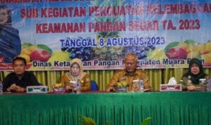 WhatsApp Image 2023 08 09 at 06.34.02