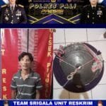 WhatsApp Image 2023 08 13 at 04.40.46