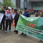 WhatsApp Image 2023 08 13 at 20.51.39