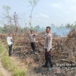 WhatsApp Image 2023-08-28 at 09.26.11 WhatsApp Image 2023 08 28 at 09.26.11