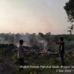 WhatsApp Image 2023 09 02 at 18.51.31