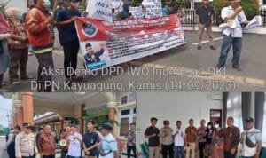 WhatsApp Image 2023 09 14 at 07.50.33