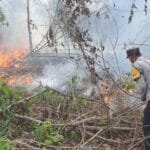 WhatsApp Image 2023-09-15 at 21.23.00 WhatsApp Image 2023 09 15 at 21.23.00