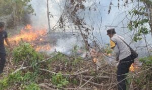 WhatsApp Image 2023-09-15 at 21.23.00 WhatsApp Image 2023 09 15 at 21.23.00