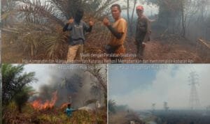 WhatsApp Image 2023 09 16 at 07.13.17