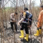 WhatsApp Image 2023-09-26 at 05.12.51(1) WhatsApp Image 2023 09 26 at 05.12.51(1)