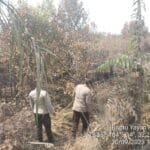 WhatsApp Image 2023-09-30 at 21.50.54 WhatsApp Image 2023 09 30 at 21.50.54