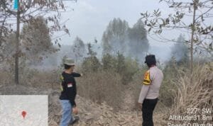 WhatsApp Image 2023-10-05 at 04.31.21 WhatsApp Image 2023 10 05 at 04.31.21