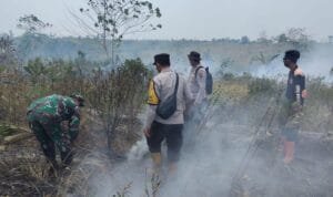 WhatsApp Image 2023 10 06 at 04.27.57