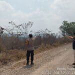 WhatsApp Image 2023 10 09 at 03.04.48