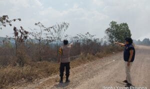 WhatsApp Image 2023 10 09 at 03.04.48