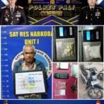 WhatsApp Image 2023-10-14 at 18.29.24 Whatsapp Image 2023 10 14 At 18.29.24